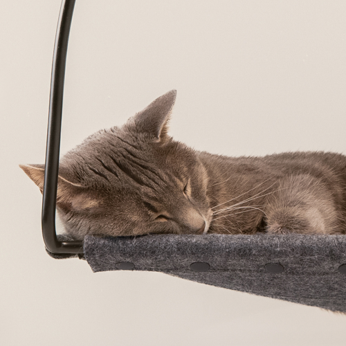 Cloud Nine Window Hammock